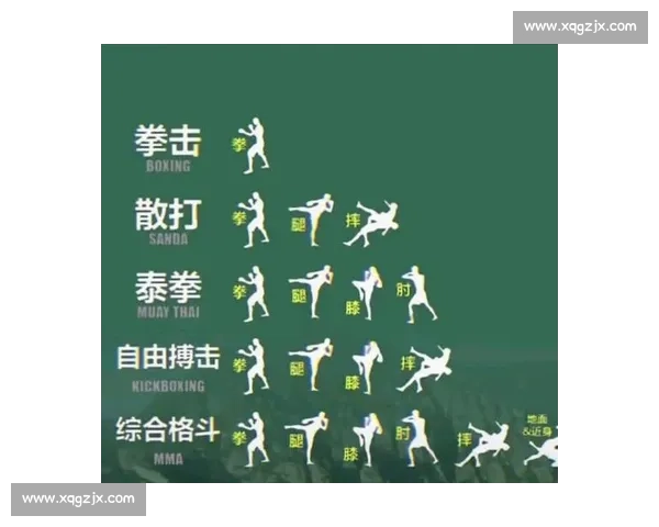 格斗与拳击全面对比解析规则技术实战差异与魅力发展趋势未来