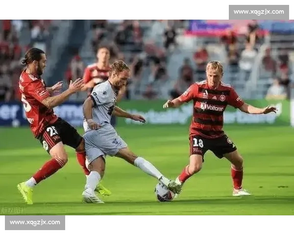 布里斯班主场迎战惠灵顿焦点对决赛季关键一战胜负走向引关注